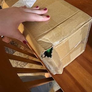 Michaella added a photo of their purchase