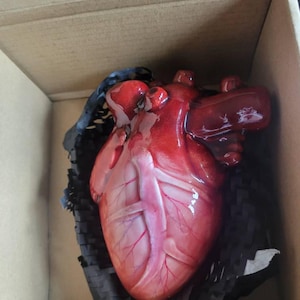 JJ added a photo of their purchase