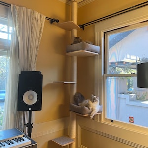 Mark added a photo of their purchase