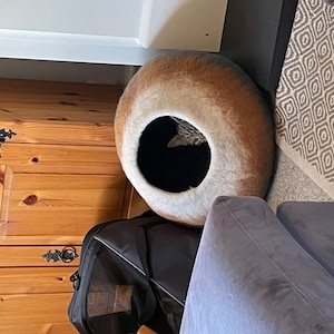 Molly added a photo of their purchase