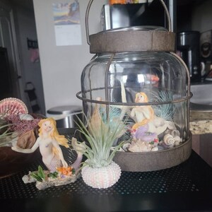 Kim added a photo of their purchase