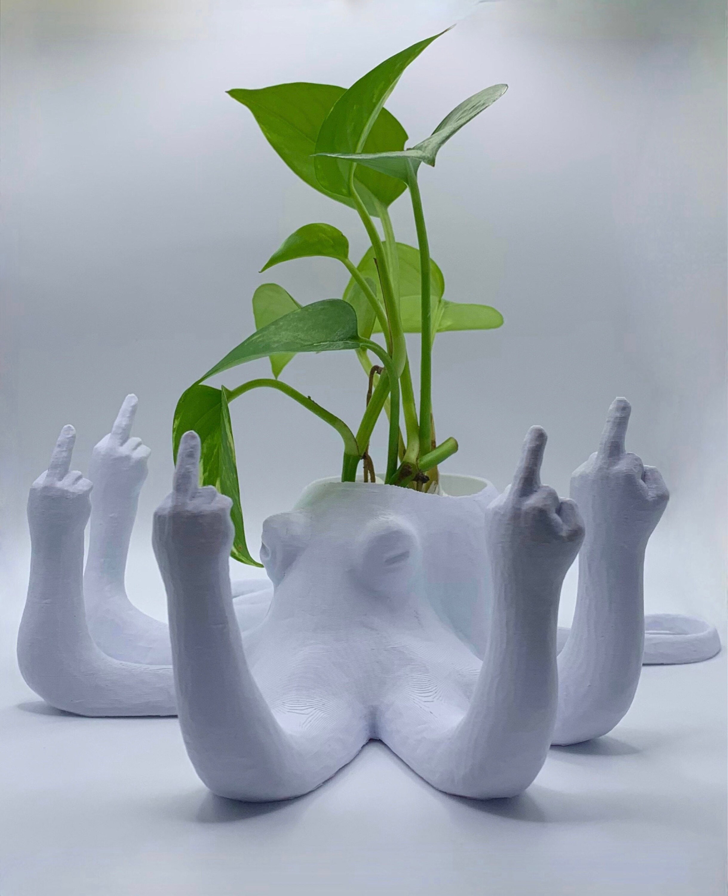 Fucktopus Planter