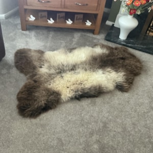 Ann added a photo of their purchase