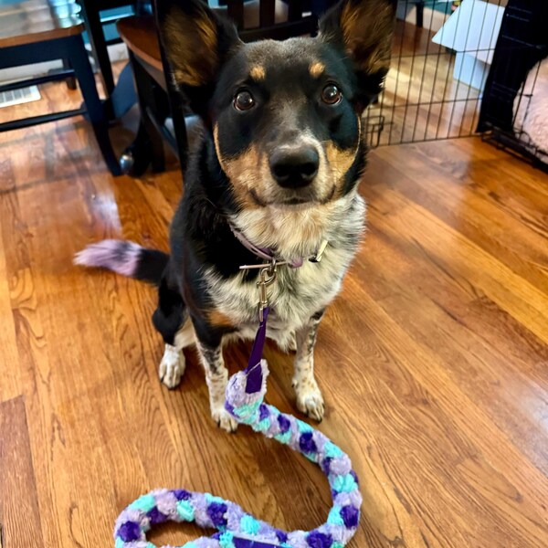 Custom Ribbon Display, Dog Award Ribbon Display Rack, Dog Rosette ...