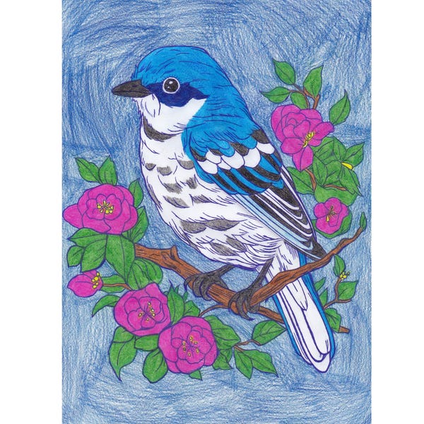 25 Cute Bird Coloring Pages - Adults and Kids Coloring Book, Digital ...