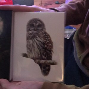 amy added a photo of their purchase