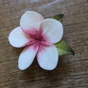 Anke added a photo of their purchase