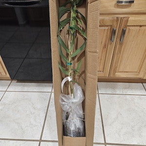 Sonja added a photo of their purchase