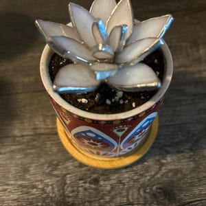 Veronica added a photo of their purchase