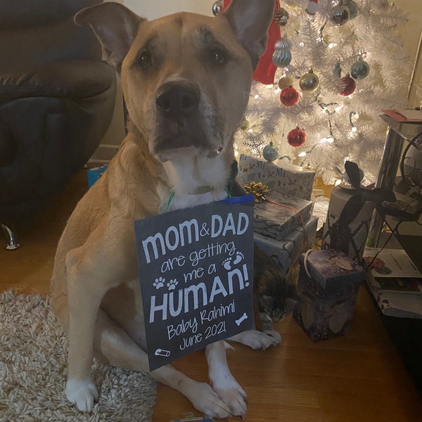 PRINTABLE Mom & Dad Are Getting Me A Human - Chalkboard Pregnancy Baby ...