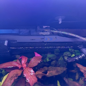 Faith added a photo of their purchase