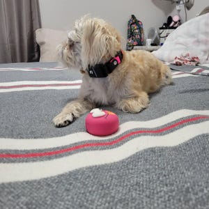 rebecca heeft een foto van zijn/haar aankoop toegevoegd