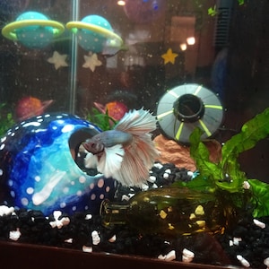 Wiggly added a photo of their purchase