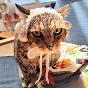 Powdered wig, hats for cats, barristers wig, judge wig, pet costumes, cat costumes, knit hat, hats for cats, cat hats, pet has, cats