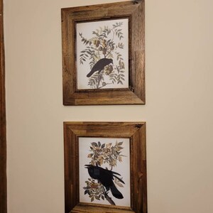 Molly added a photo of their purchase