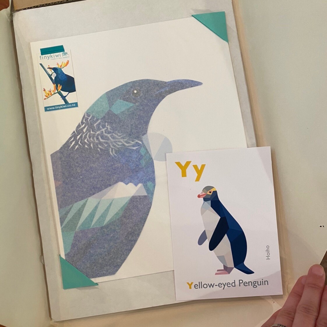 Tui Print Native New Zealand Birds Art Print Bird Illustration