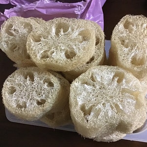 Martha added a photo of their purchase