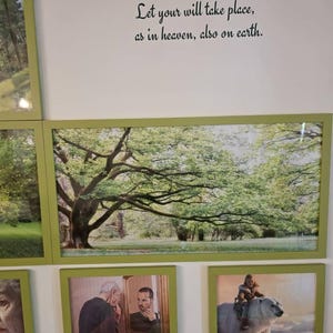 Suzanne added a photo of their purchase