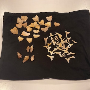 Simone a ajouté une photo de son achat