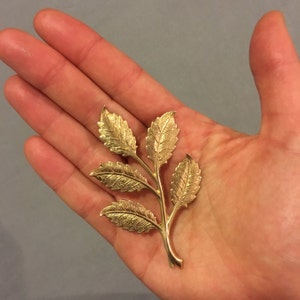 braejo added a photo of their purchase