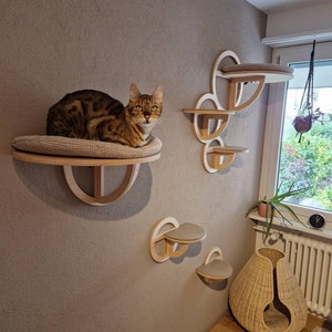 Laura added a photo of their purchase