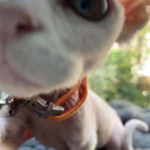Sarah a ajouté une photo de son achat