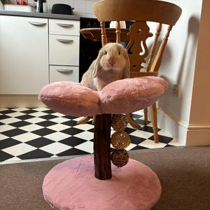 Georgiana added a photo of their purchase