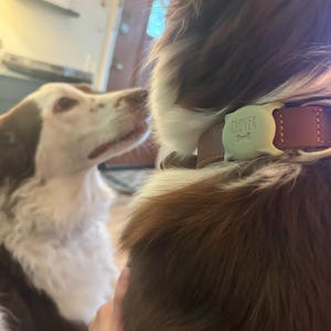 Madisen added a photo of their purchase