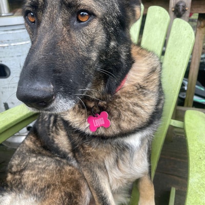 POW / MIA / KIA Bracelets - Etsy