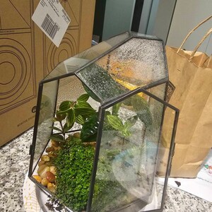 Hotone 23 C Großer Geoetrischer Terrariu-Pflanzgef Produktbild-Vorschau 5