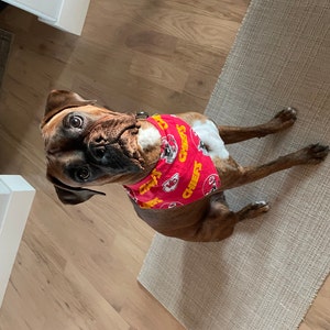 Meg ha añadido una foto de su compra