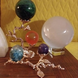 Judy added a photo of their purchase