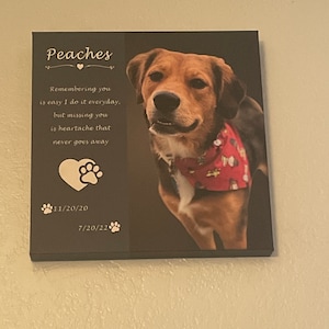 Charli added a photo of their purchase