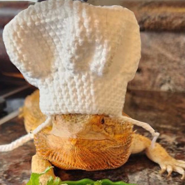 Crochet Headband Pattern for Bearded Dragon Set 2 - Etsy
