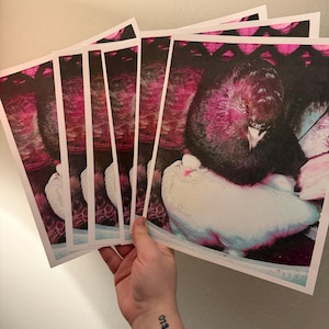 Void added a photo of their purchase