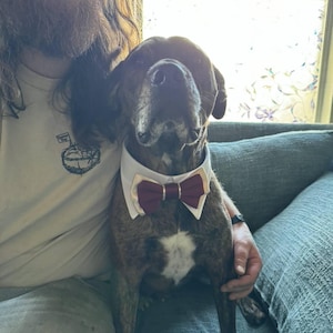 Francine added a photo of their purchase