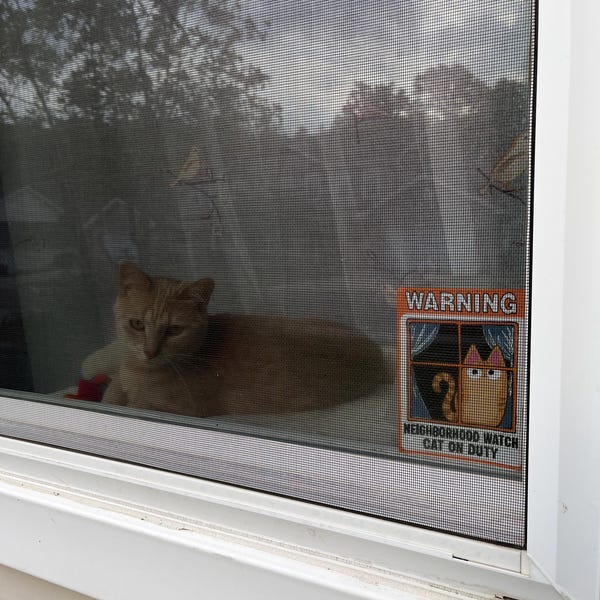 No Soliciting Sign Window Cling Goth (violators Will Be Sacrificed ...