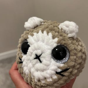 arezo added a photo of their purchase