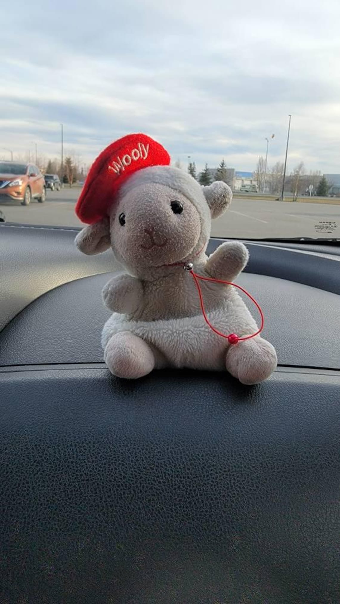 Customer photo of a pet with the Mini Beret for Small Pets