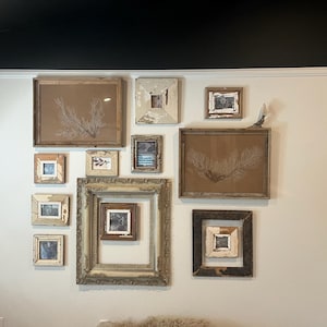 tracy added a photo of their purchase