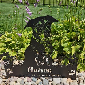 Lynn added a photo of their purchase