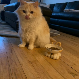 Kim added a photo of their purchase