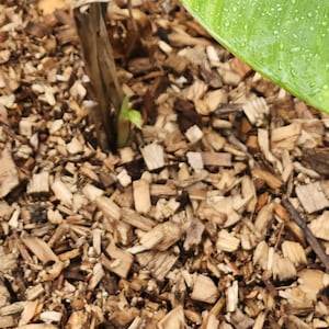 MH added a photo of their purchase