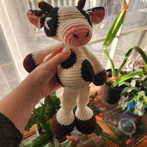 Rachel added a photo of their purchase
