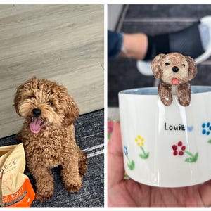 Michelle added a photo of their purchase