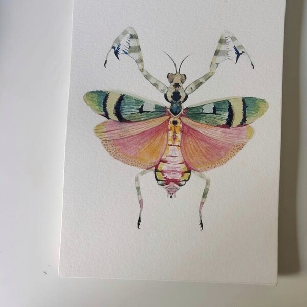 Insects Wallpaper - Etsy