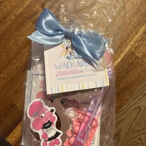 Bluey Goodie Bag Party Favors, Bluey Goodie Bag, Custom Frozen Party Favor, Frozen Party Decor, Kids Bluey Party Bag Party Favor, Gift Bag