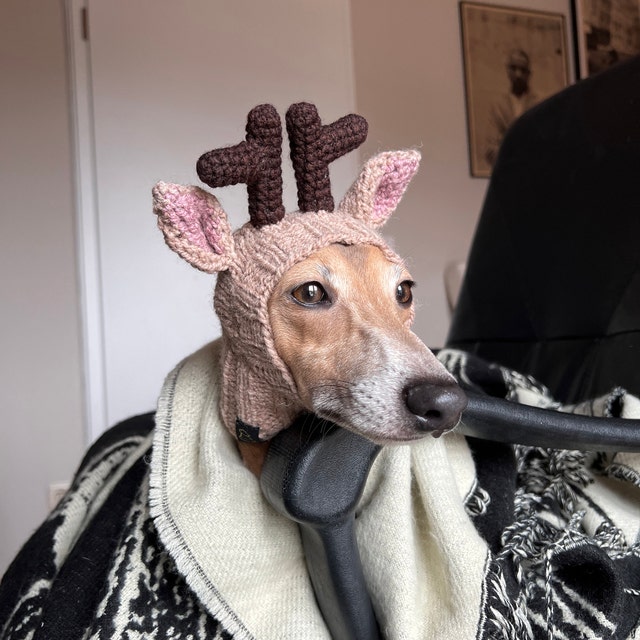 Dog reindeer hat hot sale