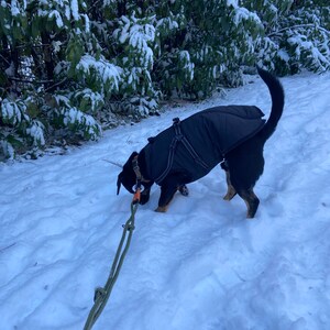 Katharina added a photo of their purchase