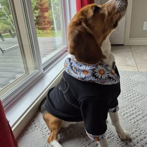 Heady added a photo of their purchase